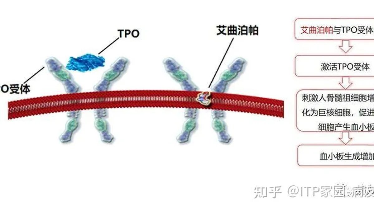 医生为患者解释芦曲泊帕用药和费用