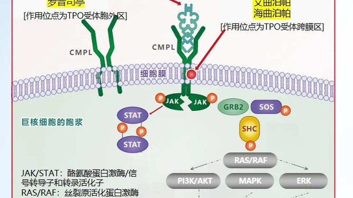 患者手持芦曲泊帕药盒，旁边放着血常规化验单